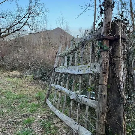 Etxekone * Guernica y Luno