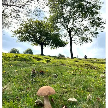 Etxekone Guernica y Luno