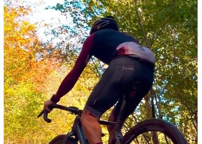 Etxekone Guernica y Luno