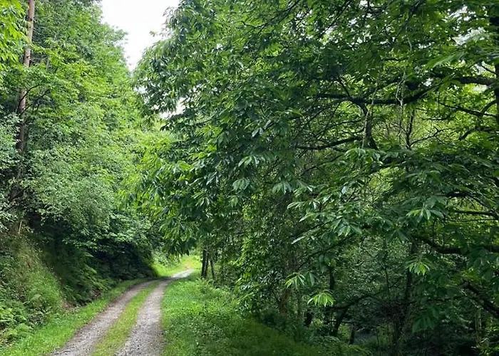 Etxekone Διαμέρισμα *