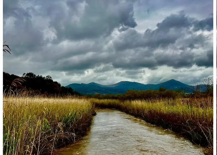 Etxekone Διαμέρισμα Guernica y Luno