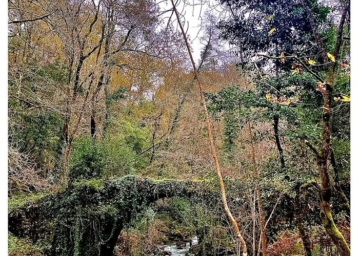 Etxekone Διαμέρισμα Guernica y Luno