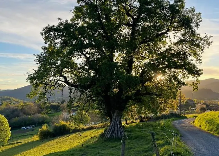 Διαμέρισμα Etxekone *