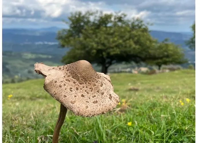 Etxekone Διαμέρισμα Guernica y Luno