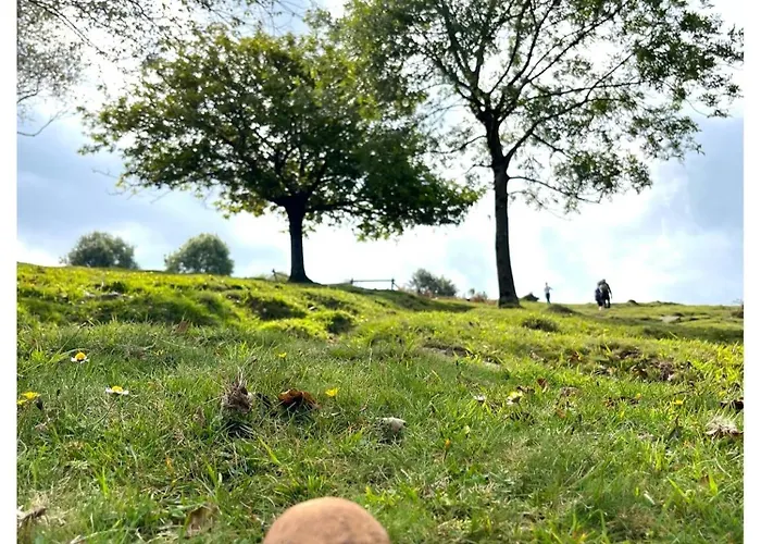 Etxekone Guernica y Luno