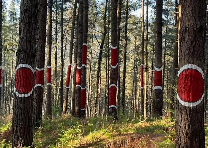 Etxekone Διαμέρισμα *